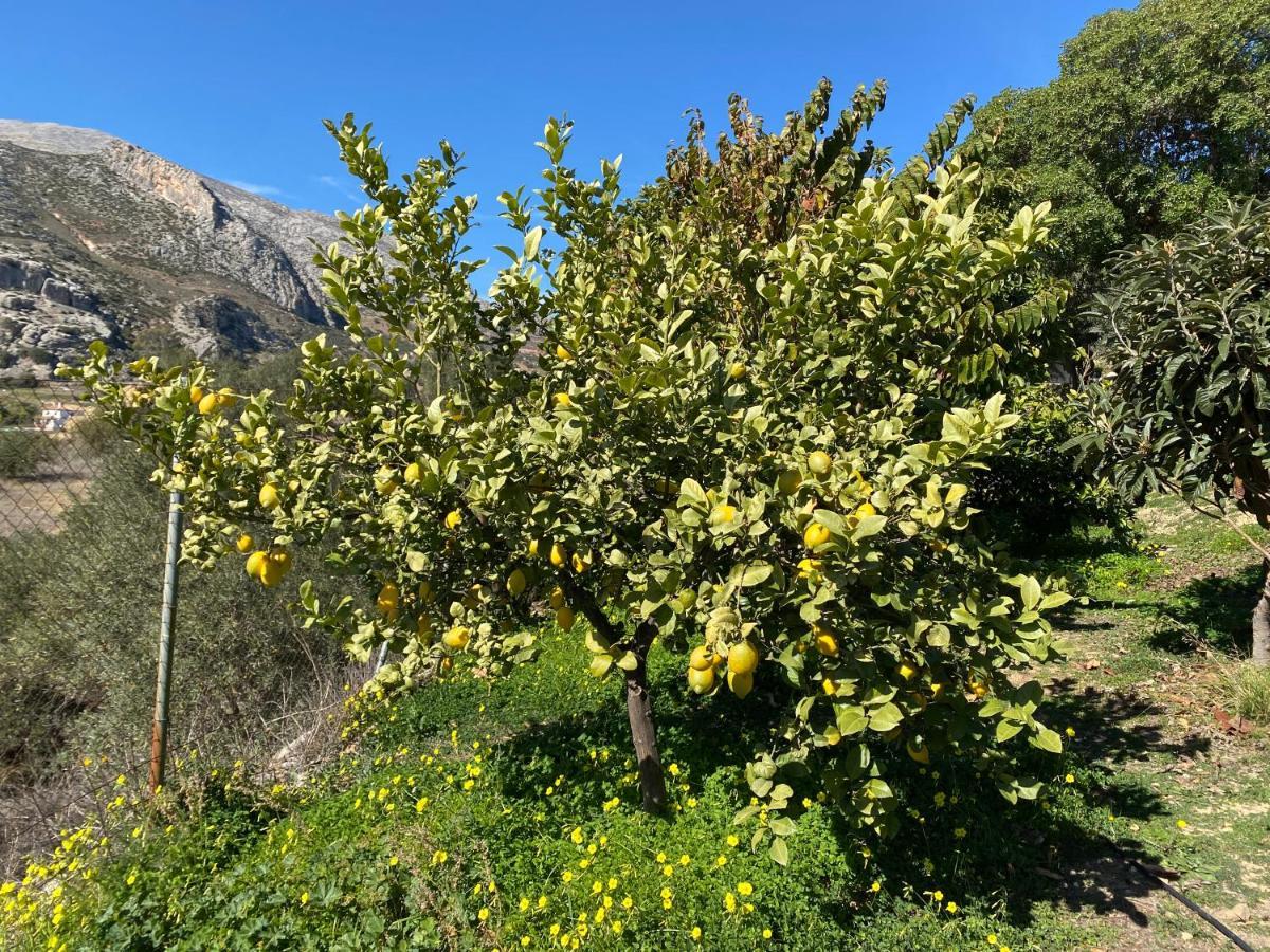 Casa El Saladillo Villa Valle de Abdalagís Dış mekan fotoğraf